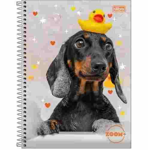 CADERNO 1X1 ZOOM   C.D.